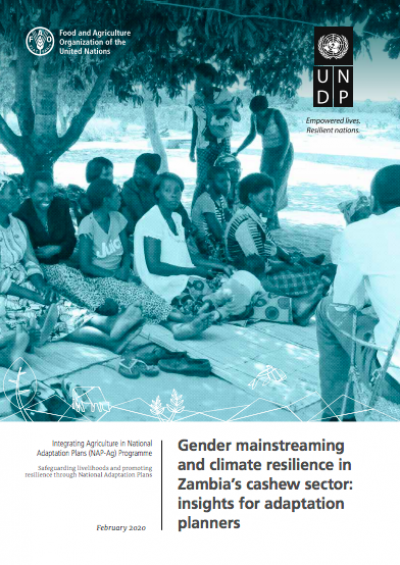 UNDP image 1