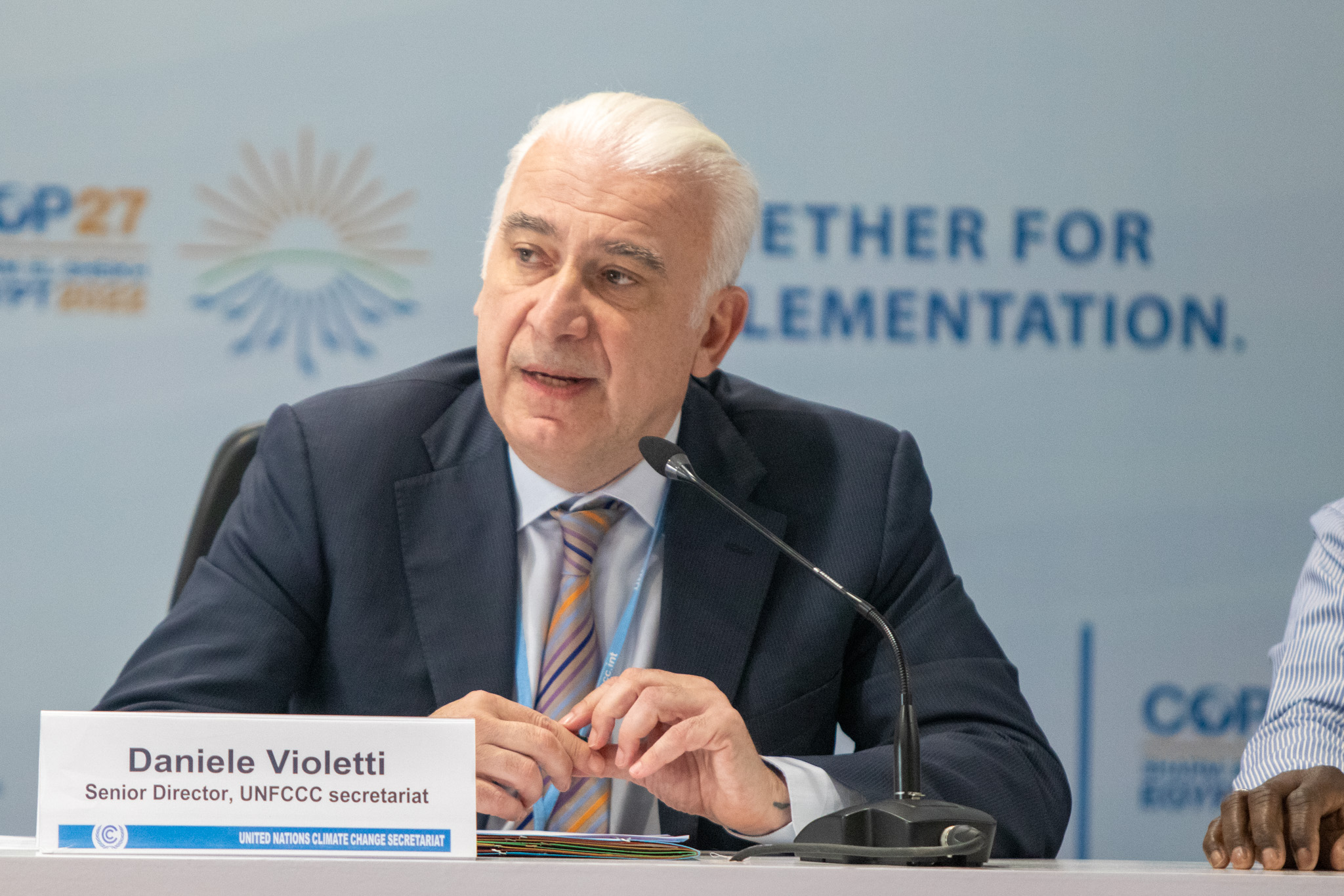 Daniele Violetti, UNFCCC Secretariat 1.jpg