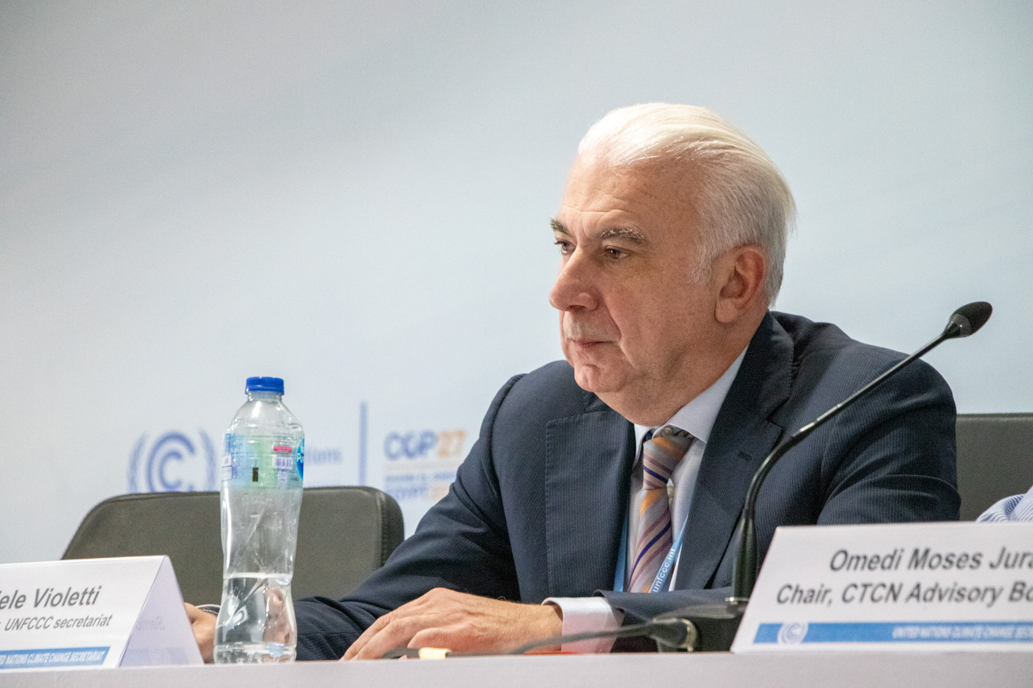 Daniele Violetti, UNFCCC Secretariat 4.jpg