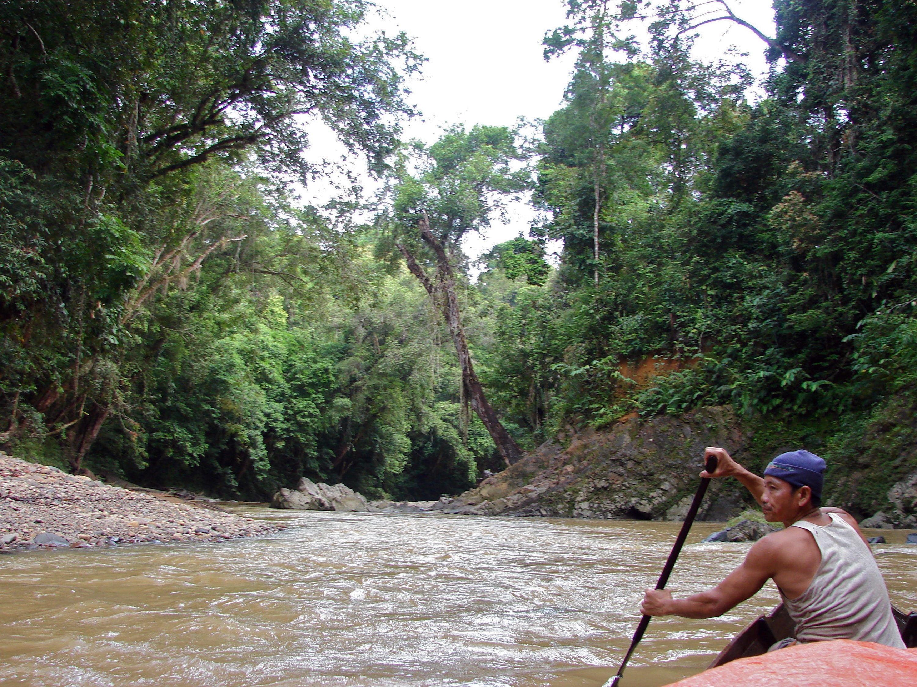 Man canoe river forest.jpg