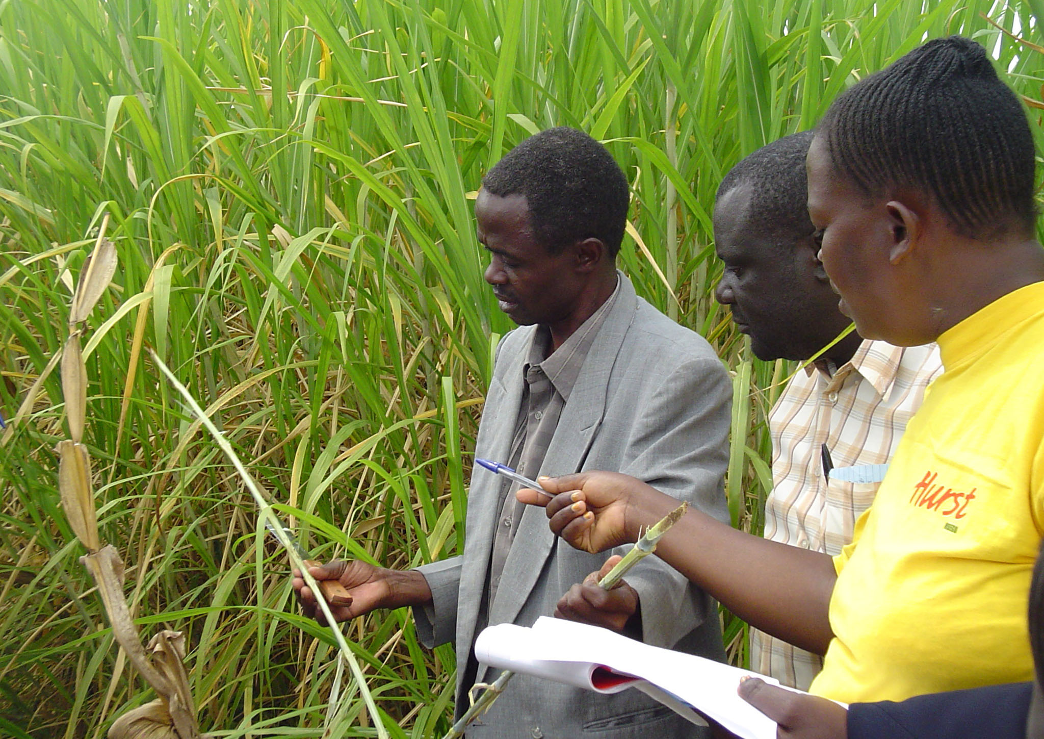 Agriculture001.jpg