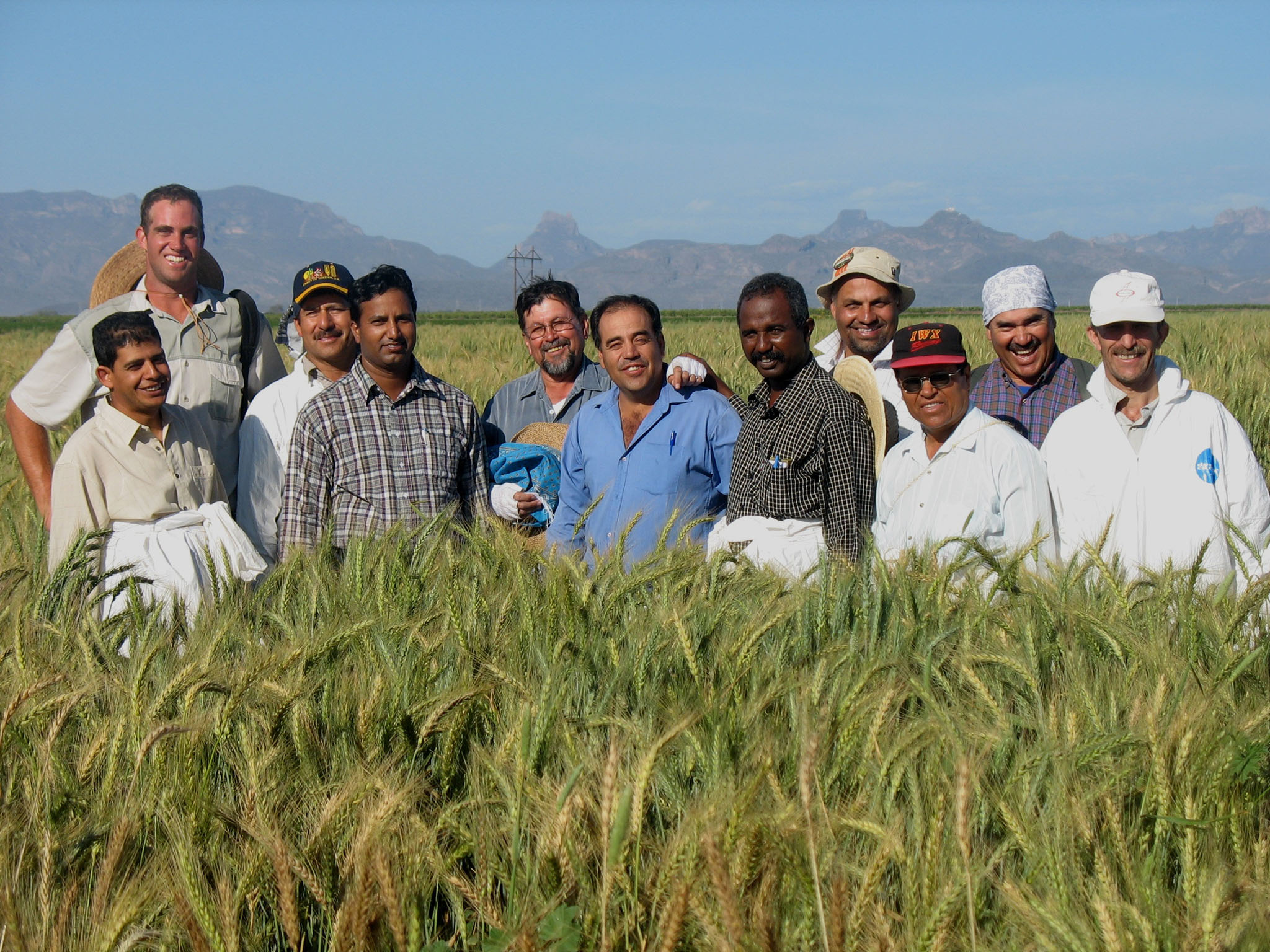 Agriculture002.jpg