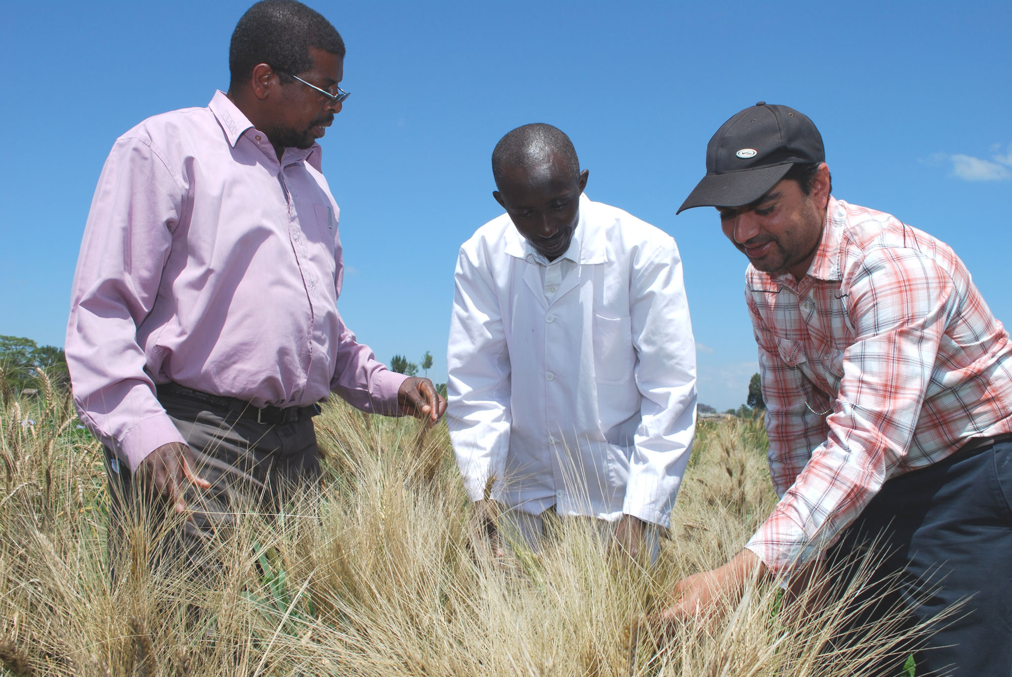 Agriculture003.jpg
