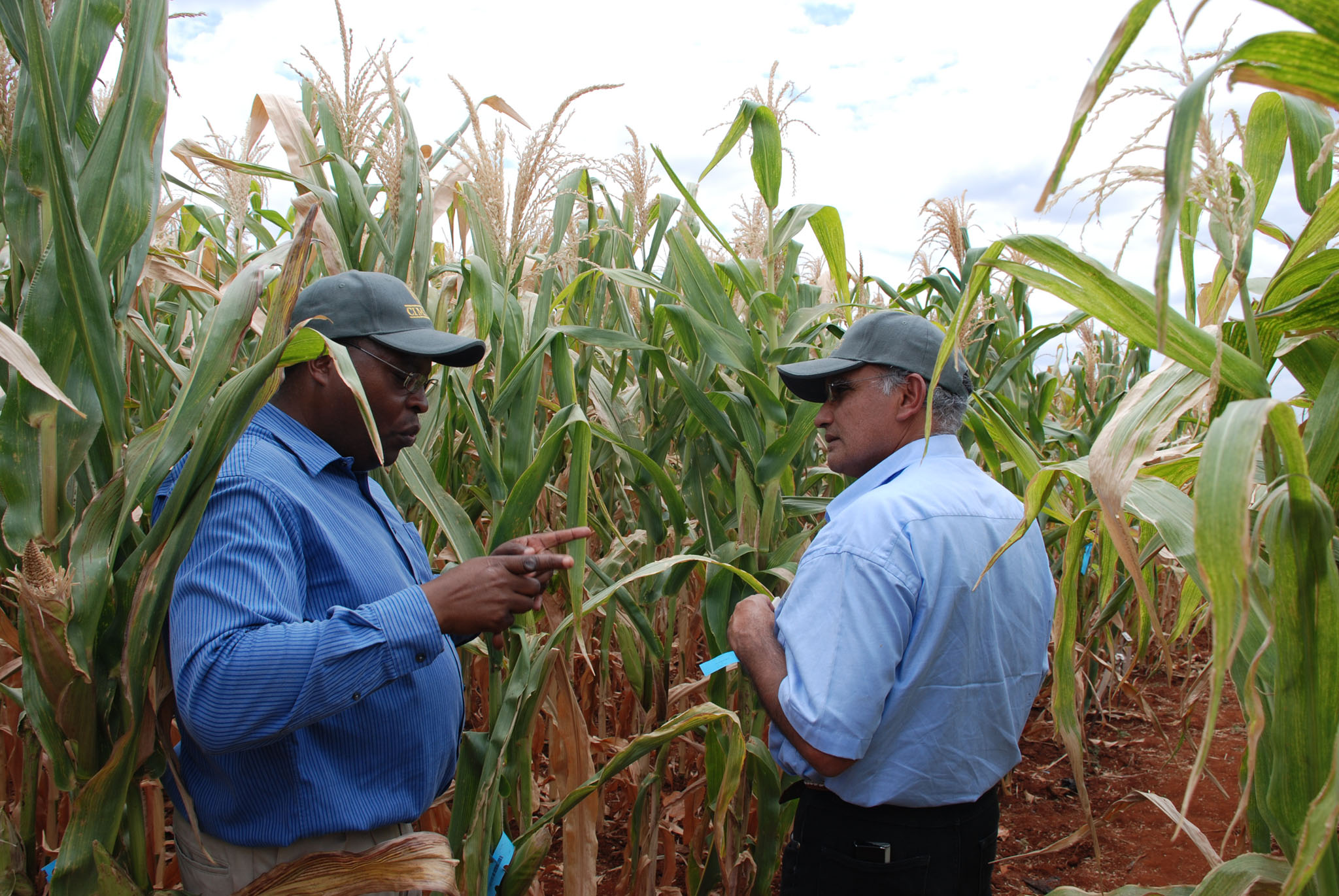 Agriculture005.jpg