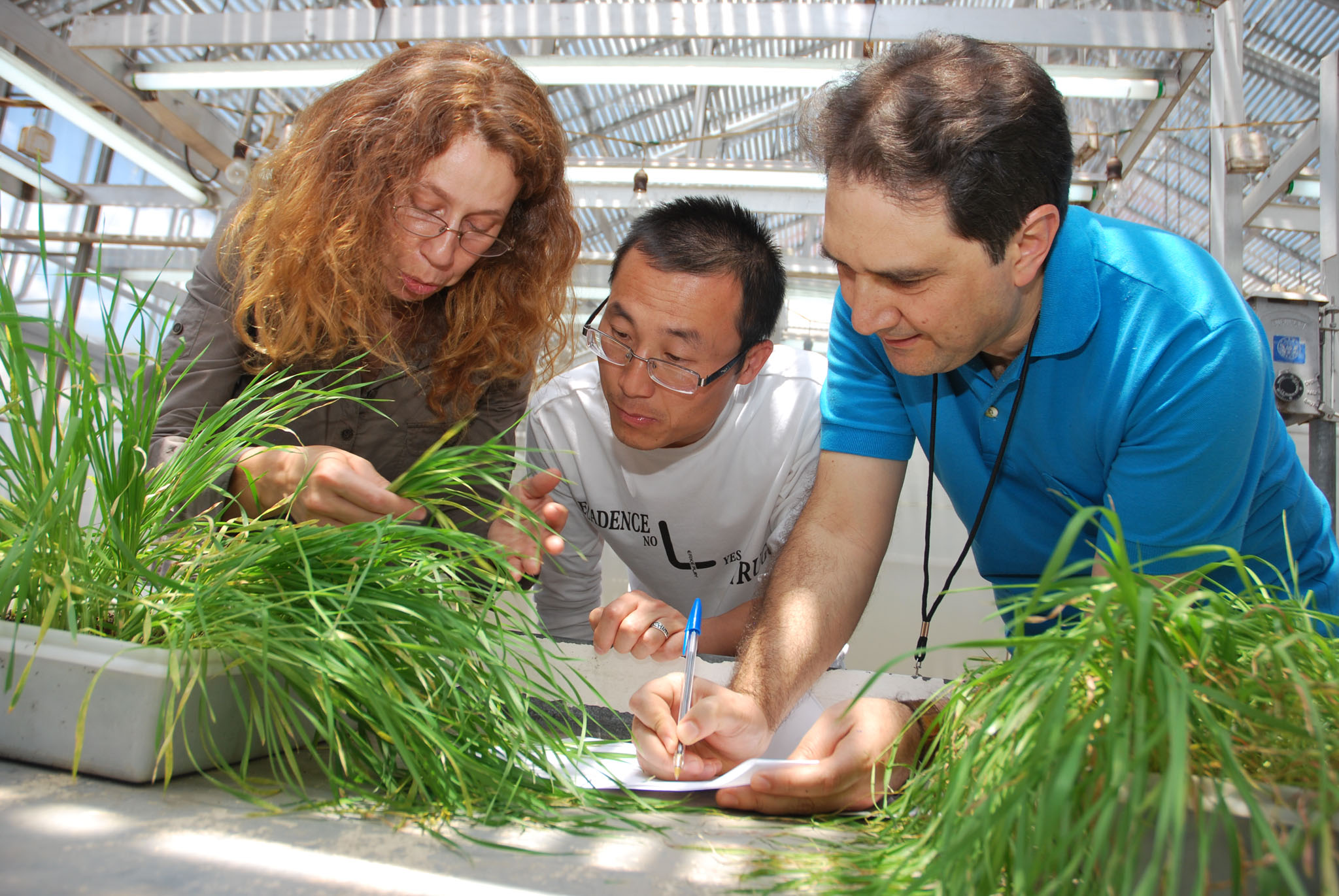 Agriculture006.jpg