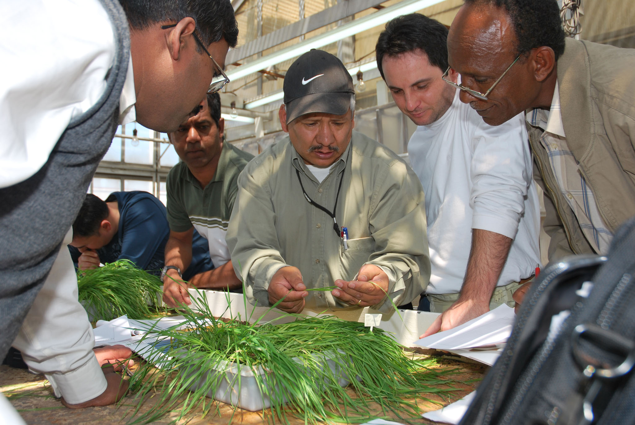 Agriculture007.jpg