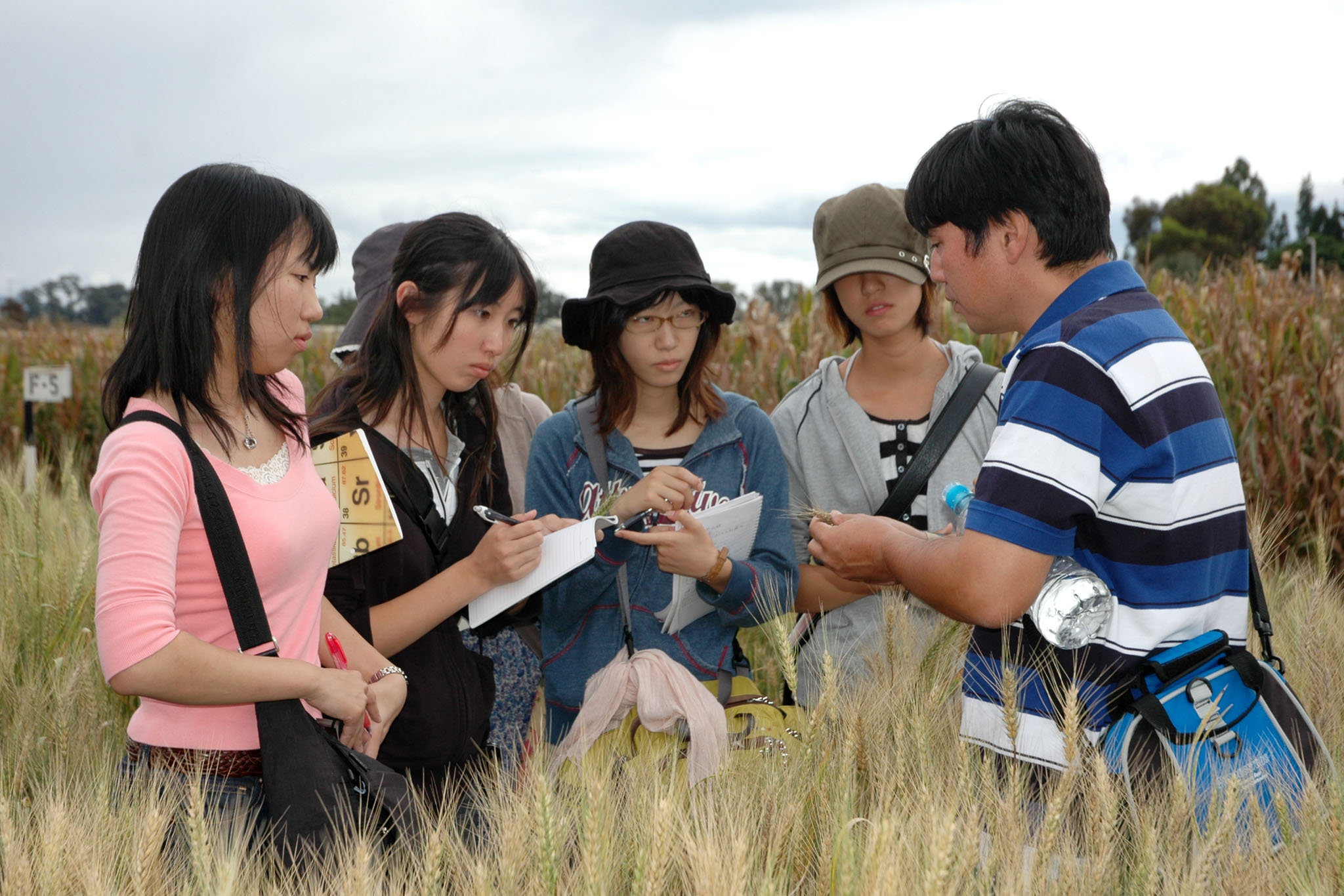 Agriculture008.jpg