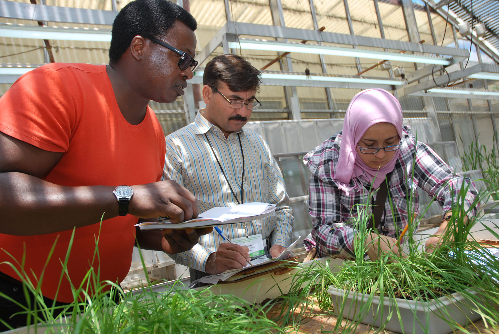 Agriculture010.jpg