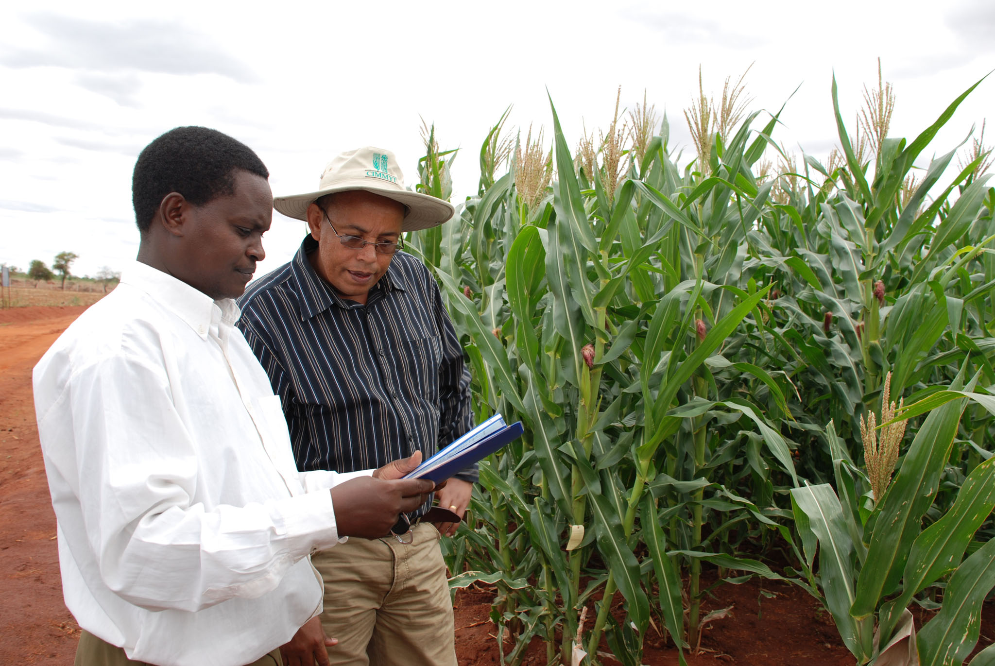 Agriculture011.jpg