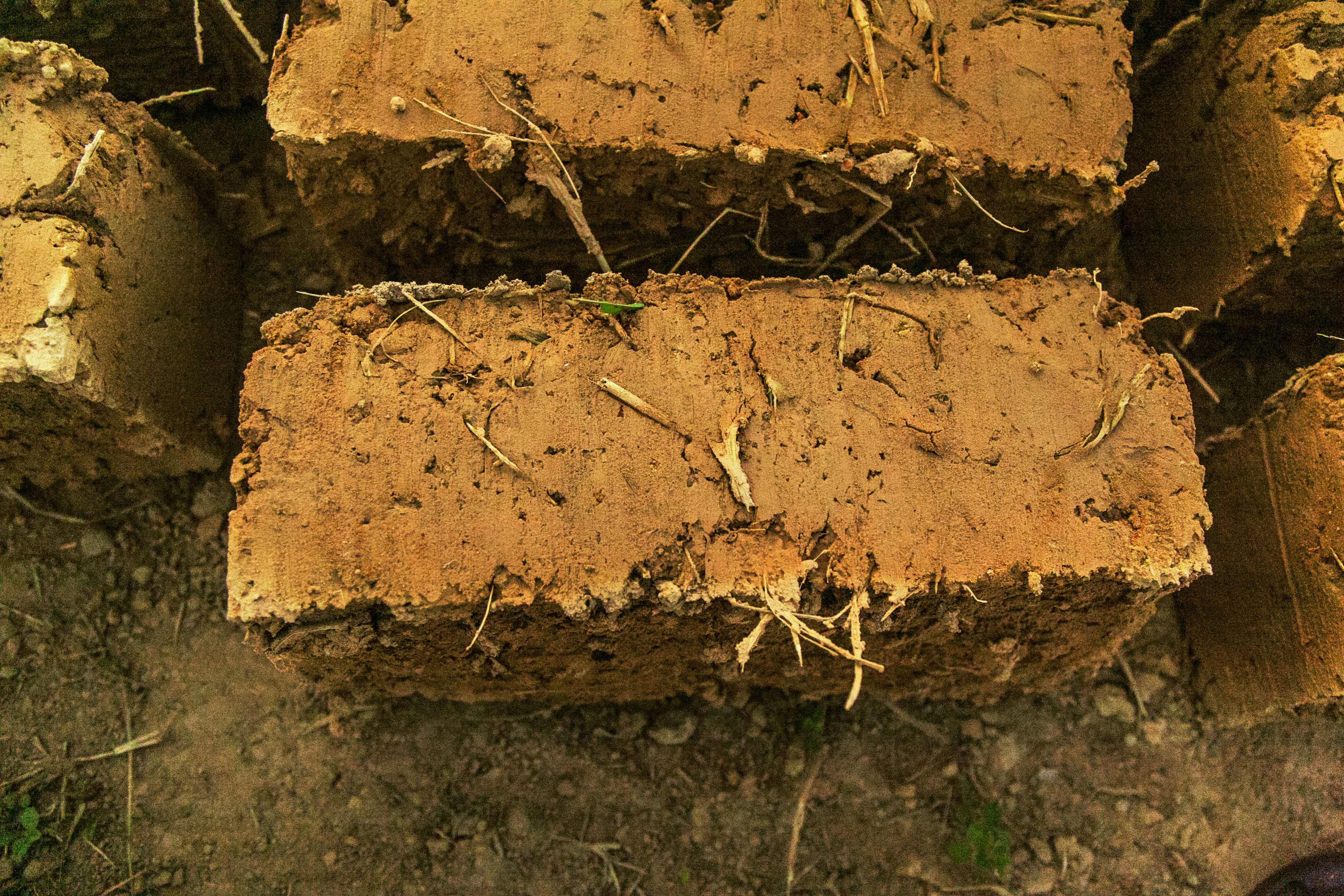 Brick_Earth_Roof_in_the_Sahel_Program.jpg
