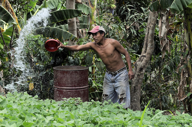 CTCN Man Water.jpg