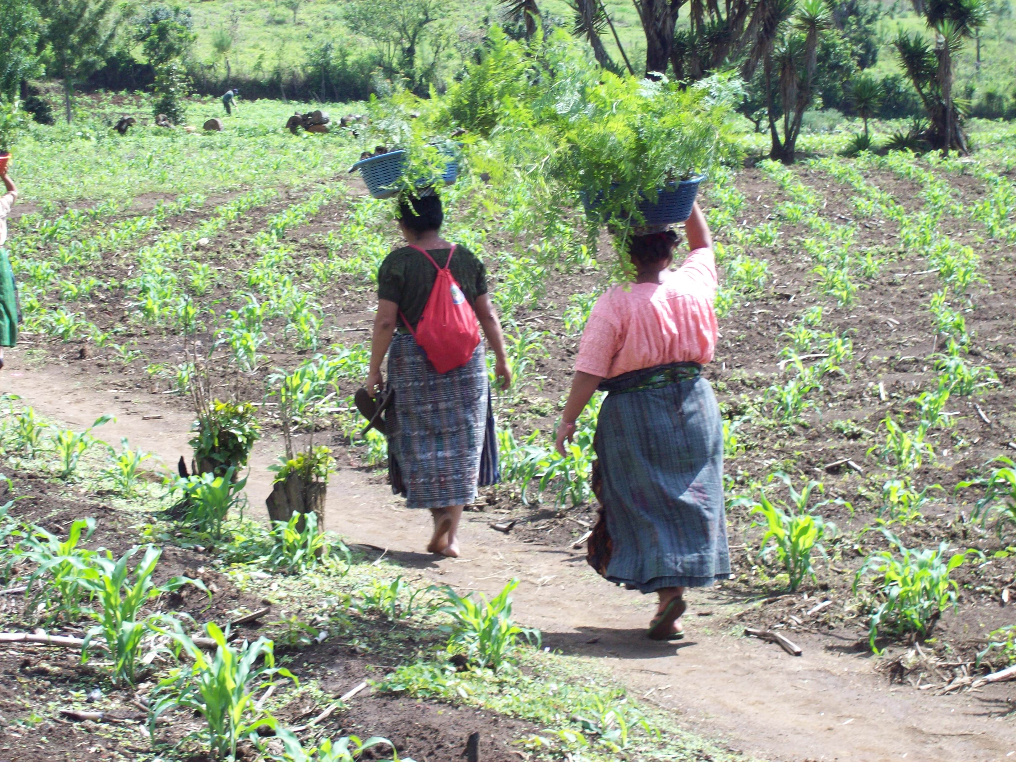 Guatemala_2011_331.jpg