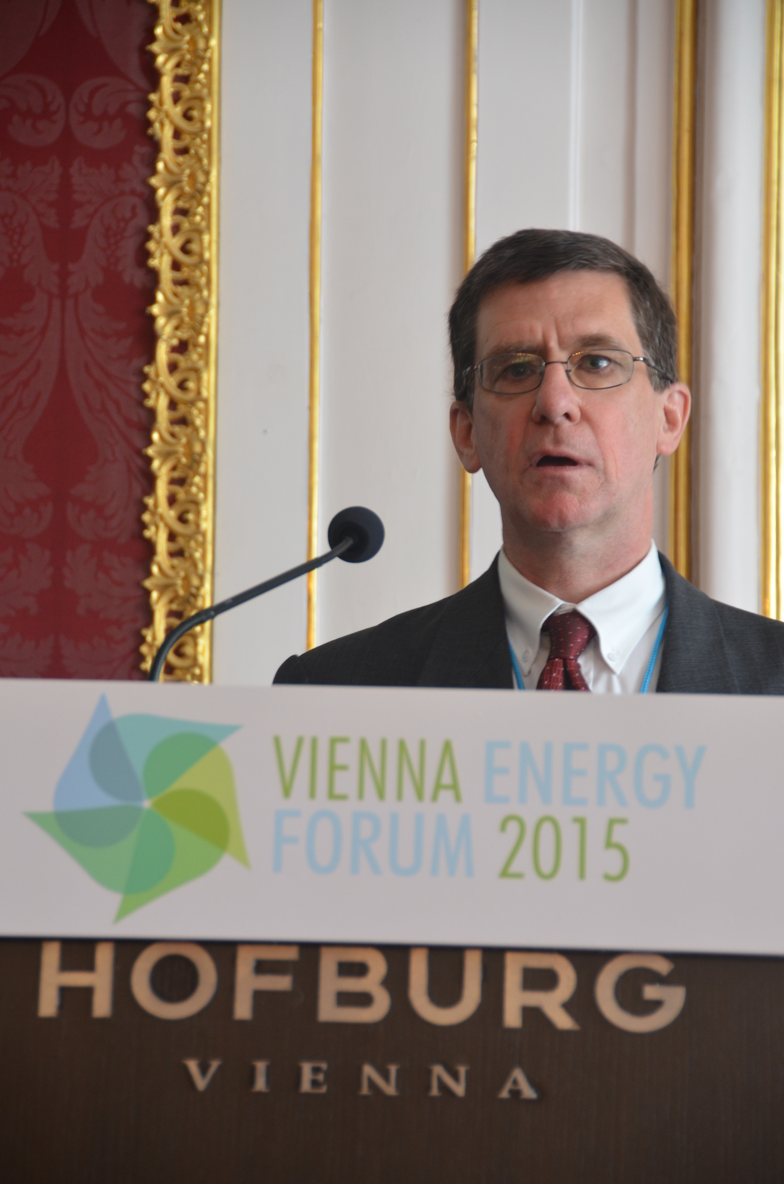 Vienna_Energy_Forum_2015 118.JPG