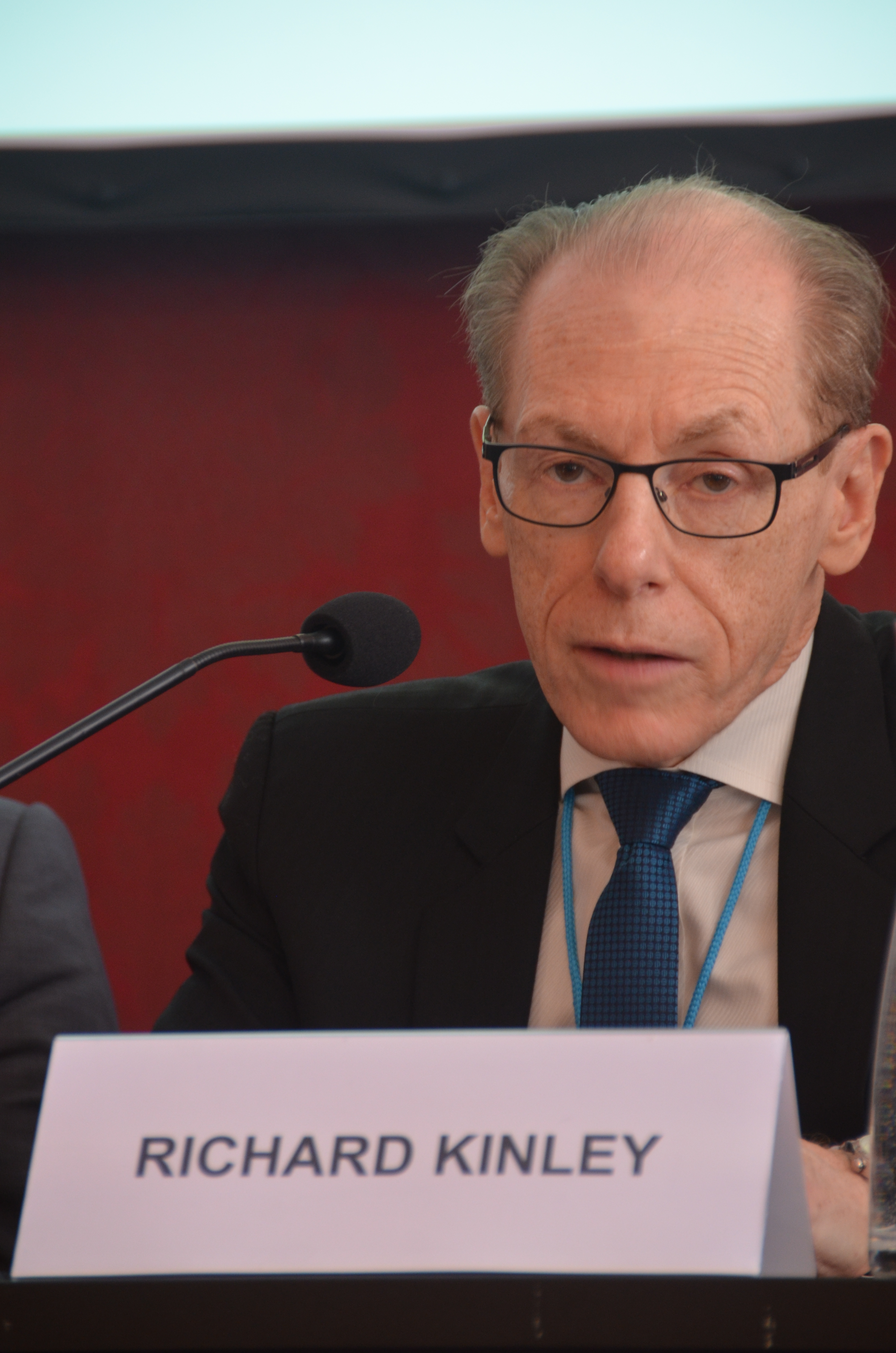 Vienna_Energy_Forum_2015 121.JPG
