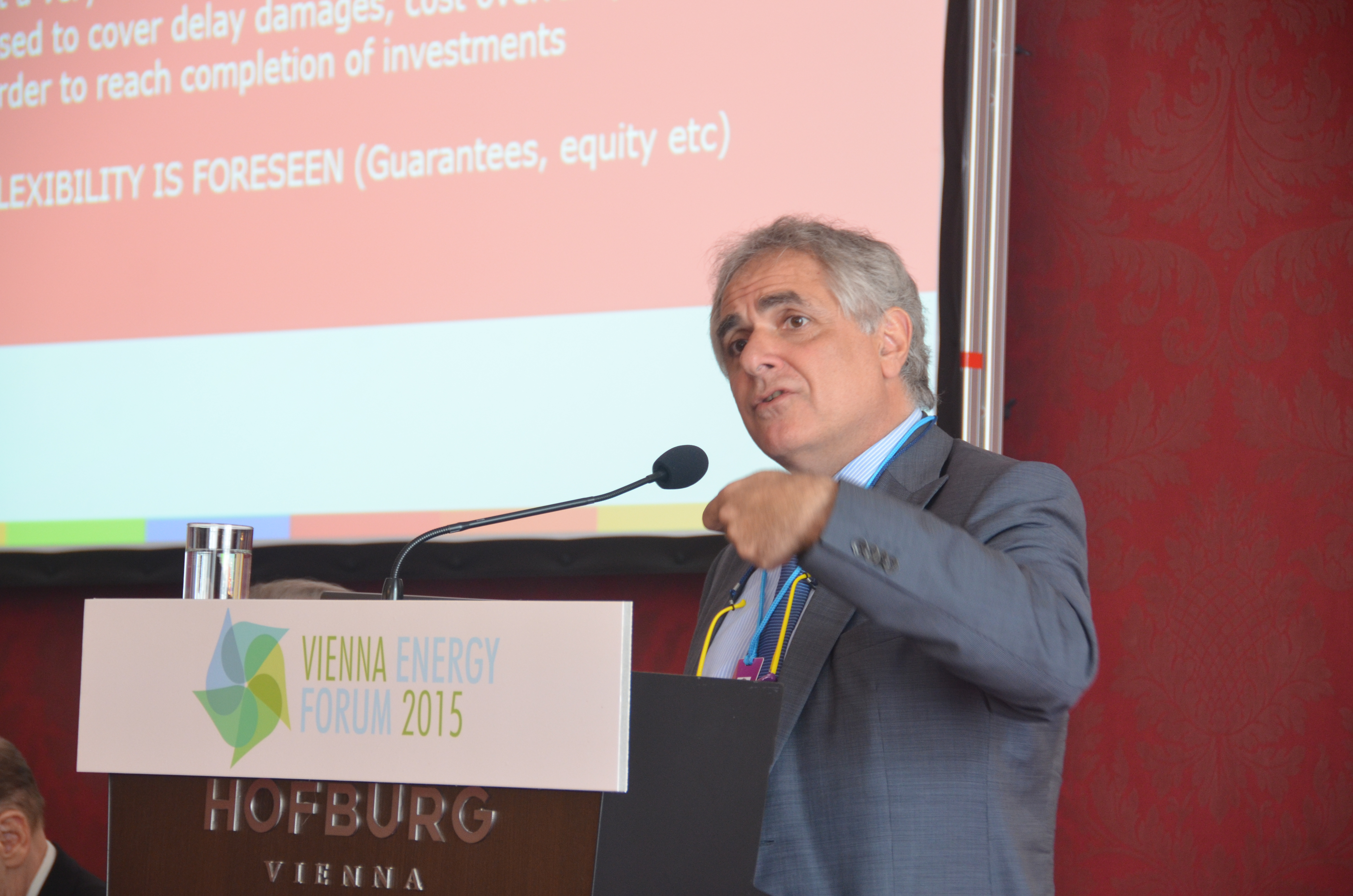 Vienna_Energy_Forum_2015 139.JPG