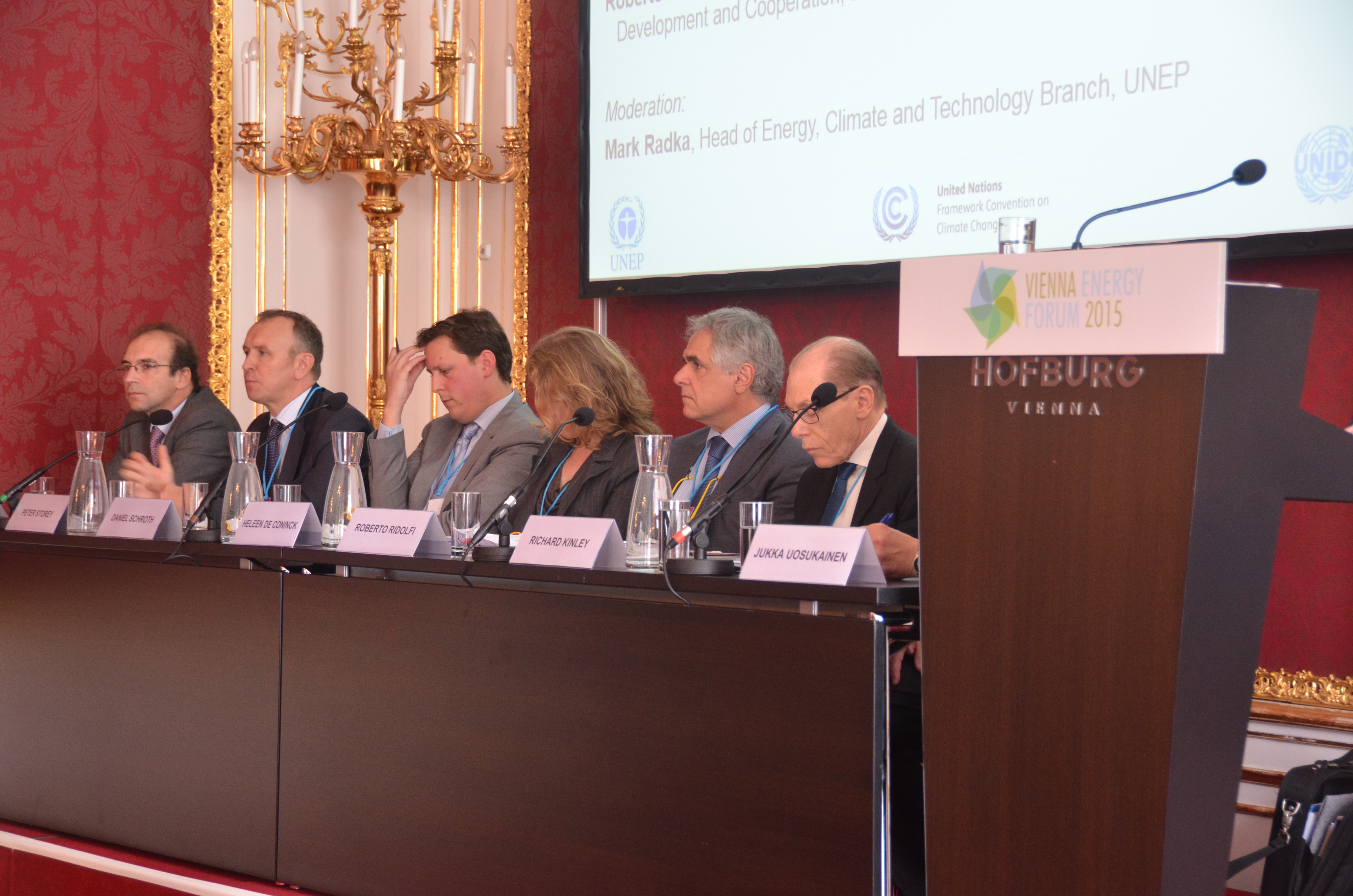 Vienna_Energy_Forum_2015 154.JPG