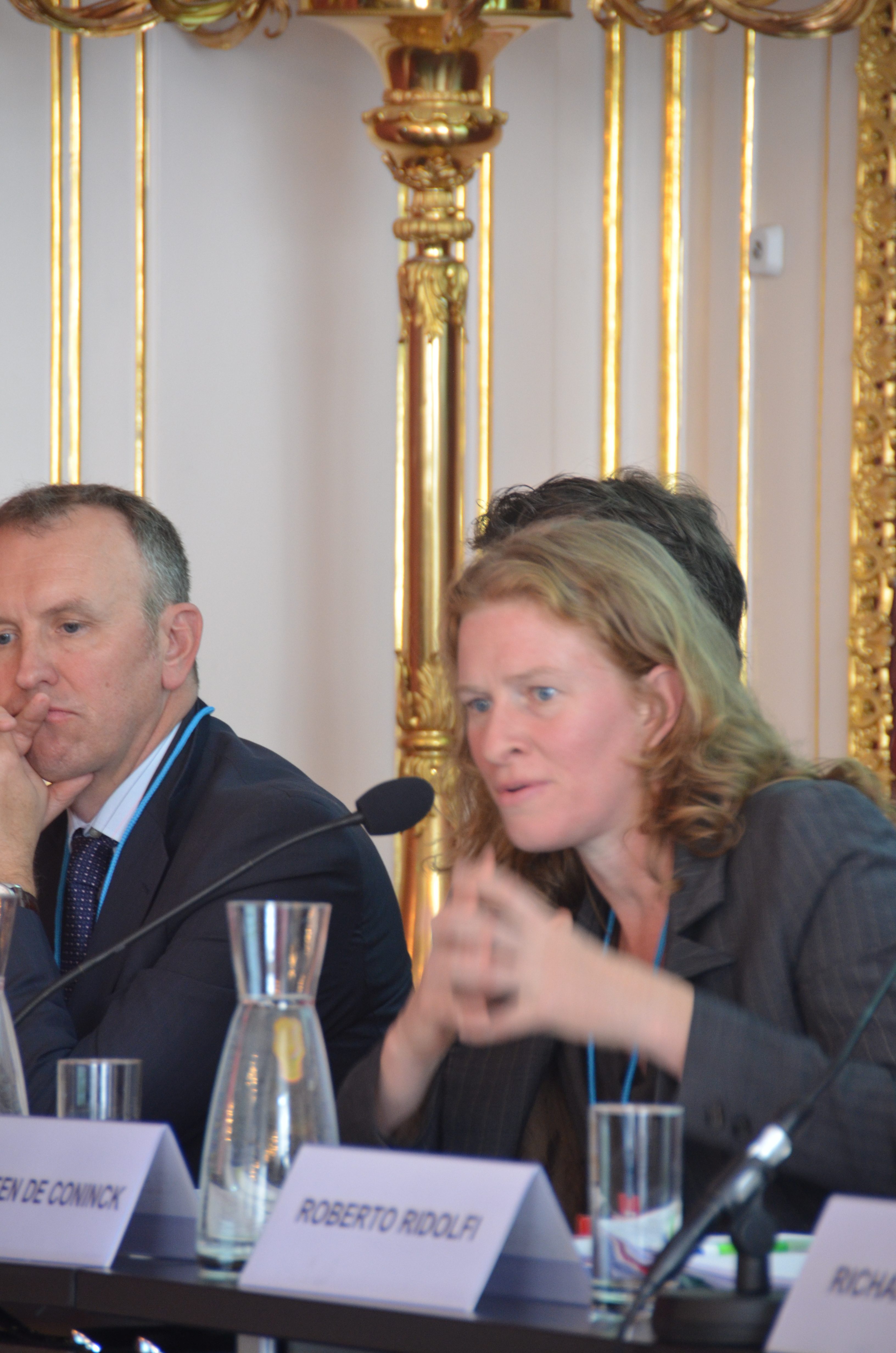 Vienna_Energy_Forum_2015 168.JPG