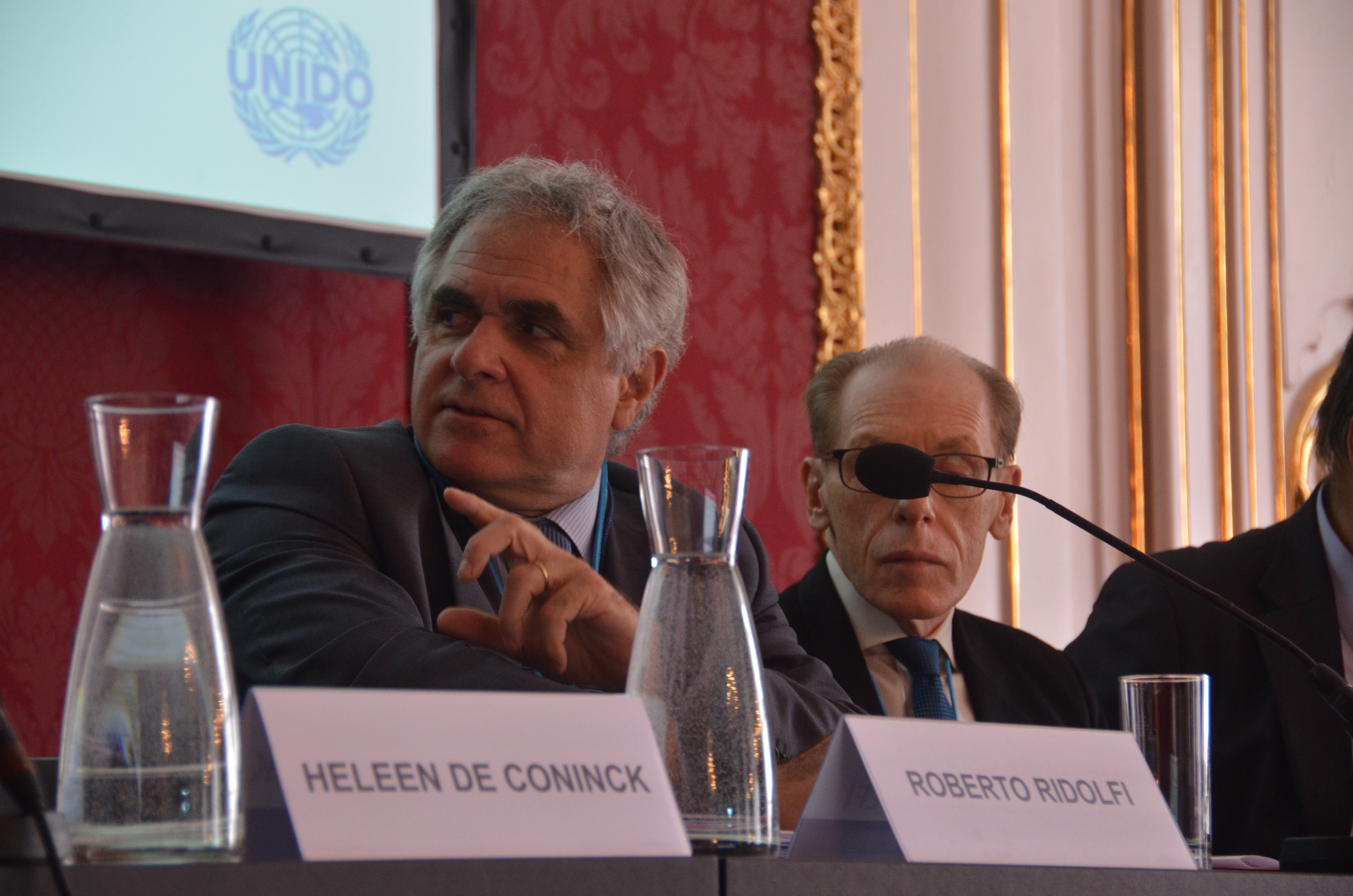 Vienna_Energy_Forum_2015 172.JPG