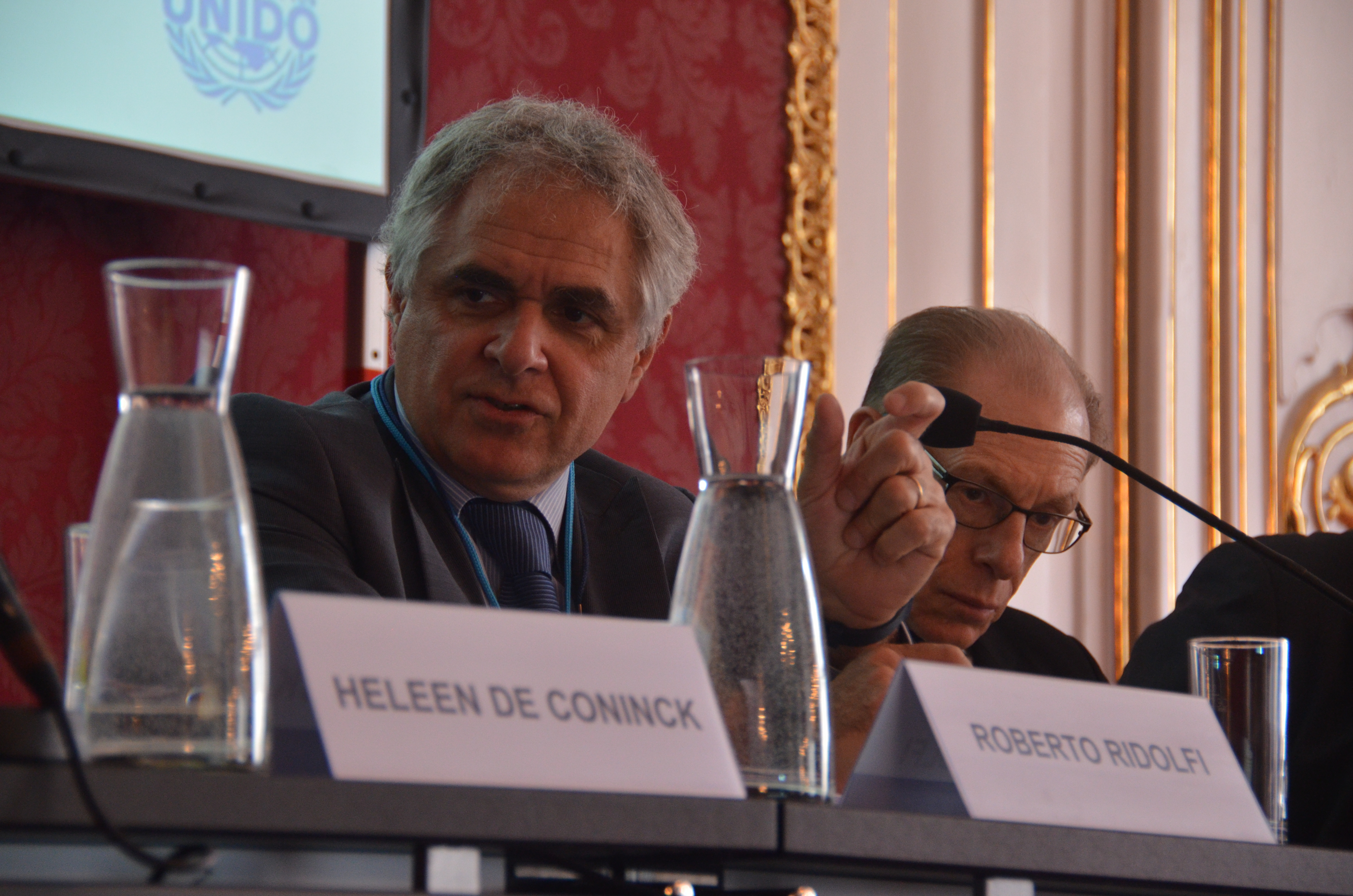Vienna_Energy_Forum_2015 174.JPG