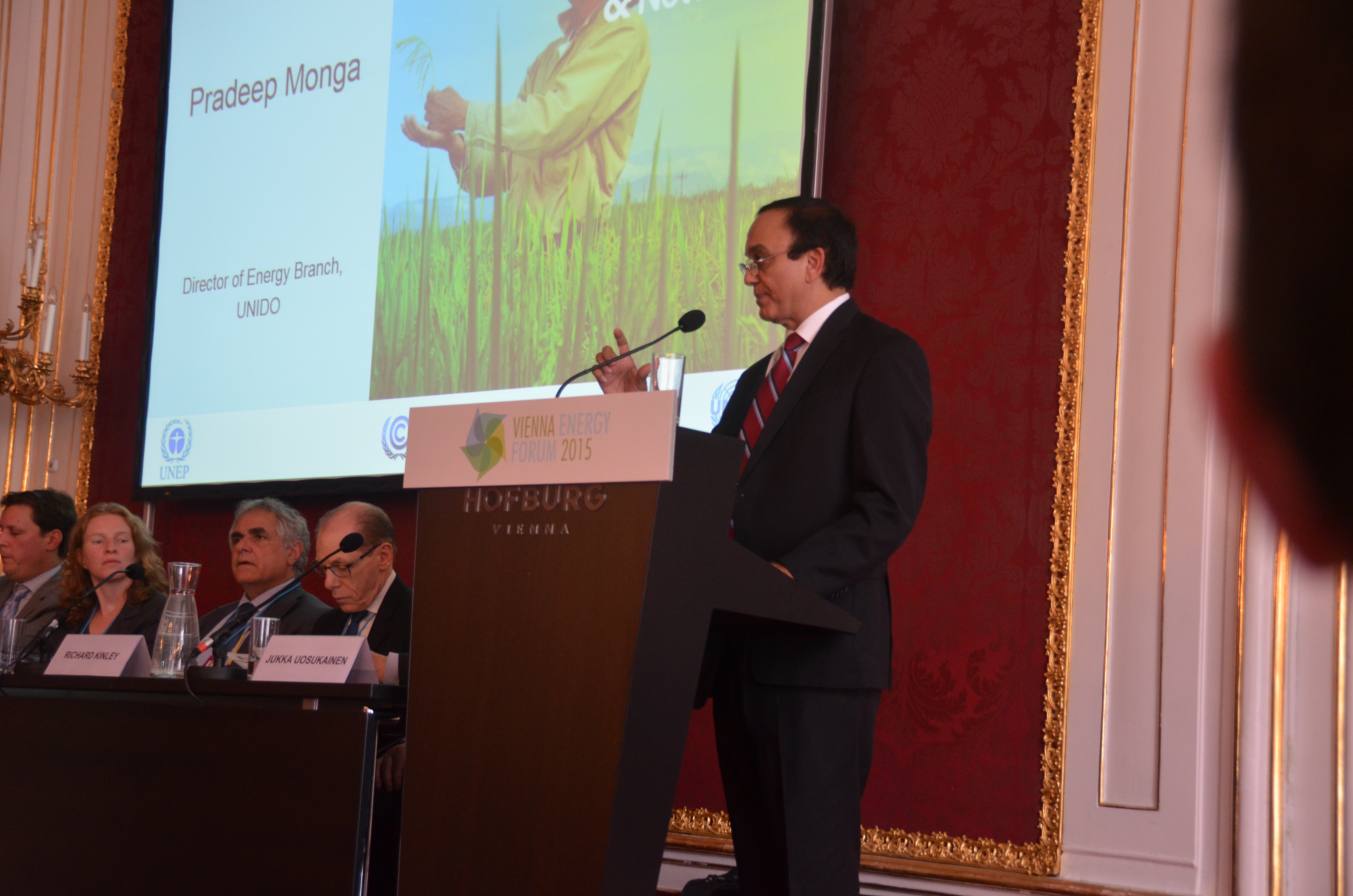 Vienna_Energy_Forum_2015 188.JPG