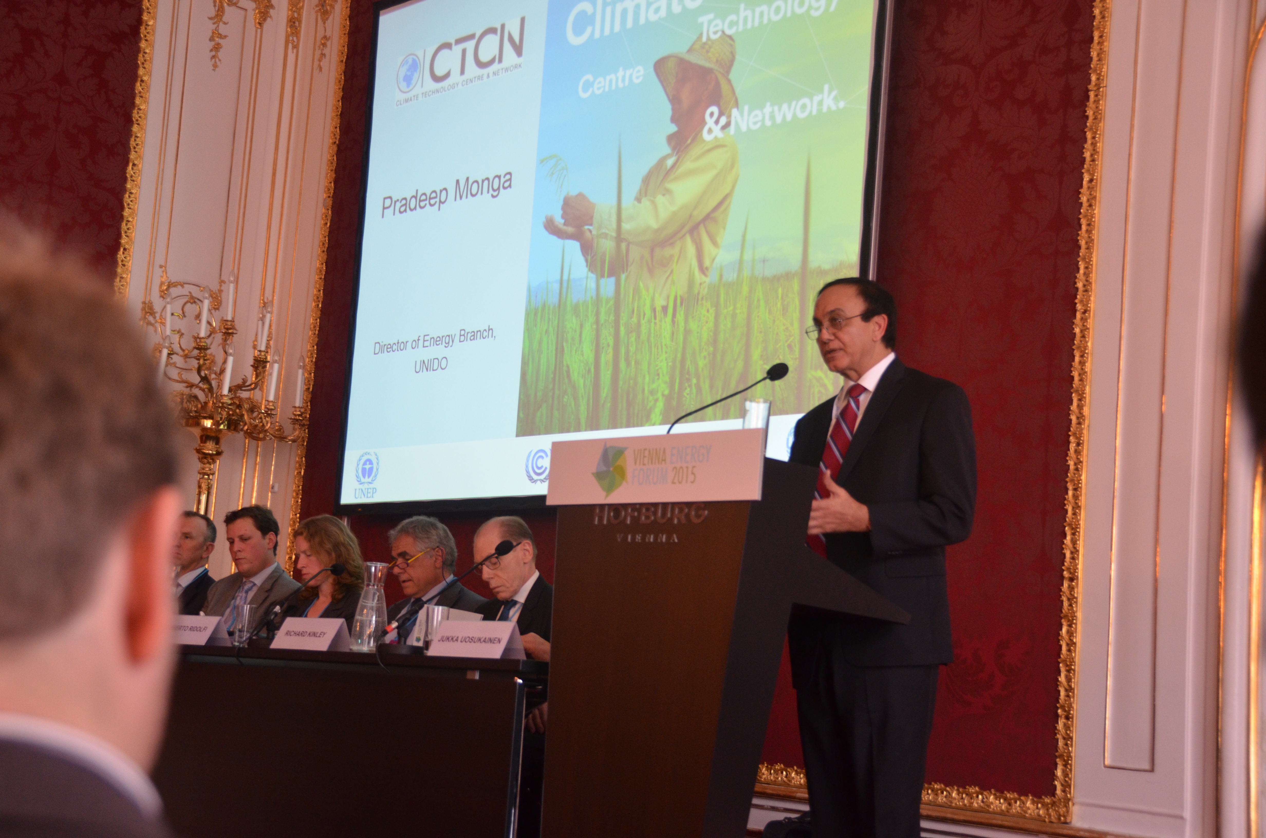 Vienna_Energy_Forum_2015 191.JPG