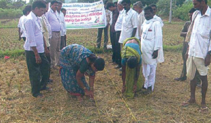 conservation_tillage_small_farm.png