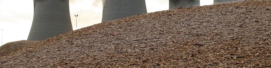 Biomass combustion and co-firing for electricty and heat