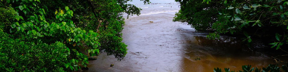 Strengthening the resilience of local fishermen, associations and groups for the sustainable management of mangrove ecosystems along the Gbaga channel in Togokomé, Agogoudou and Kpessi