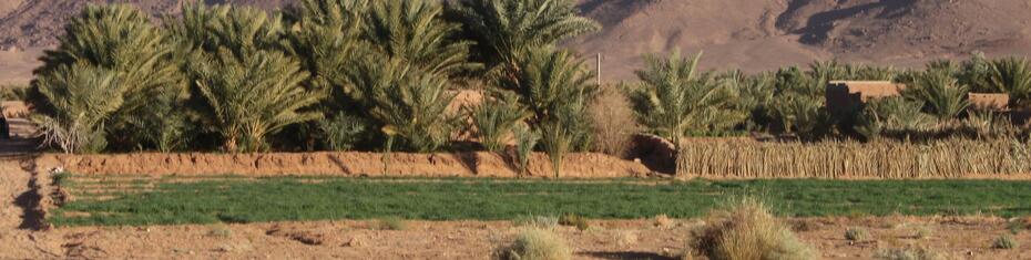Morocco Ag