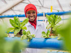 Hydroponic Farming