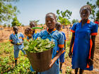 Cameroon Synecoculture project