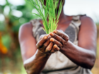 EU-CTCN programme Climate Change and Security