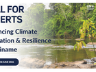Call for Experts: Advancing Climate Innovation and Resilience in Suriname