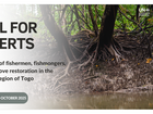 Call for experts: Resilience of fishermen, fishmongers, and mangrove restoration in the maritime region of Togo