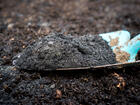 Household waste to biochar: an alternative to charcoal in savannah areas