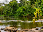 Visual background for Suriname