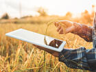 Beyond the feasibility study, an implementation roadmap will support the national stakeholders in developing, testing, and implementing such a blockchain-based product beyond this technical assistance.