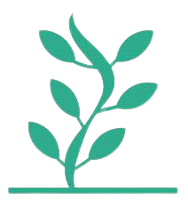 This is our logo