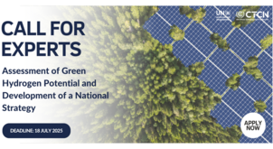 Call for Experts: Assessment of Green Hydrogen Potential and Development of a National Strategy in Guinea