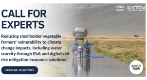 Call for experts: Reducing smallholder vegetable farmers' vulnerability to climate change impacts including water scarcity in Mongolia through EbA and digitalized risk mitigation insurance solutions
