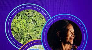 ctcn circular economy
