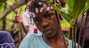Planting manglove seedlings in Colombia