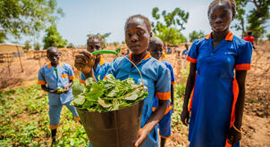Cameroon Synecoculture project