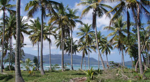 Dominican Republic