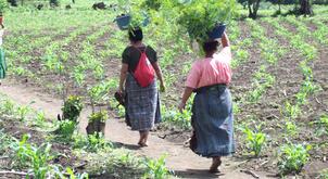 Guatemala_2011_331.jpg