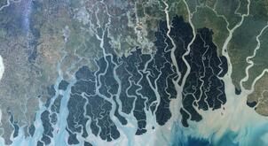 Sundarbans