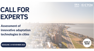 Call for experts: Assessment of innovative adaptation technologies in cities