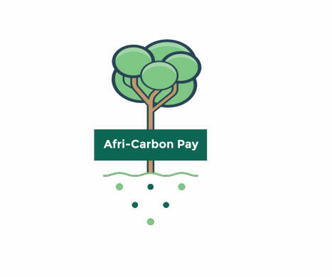 Afri-Carbon Pay