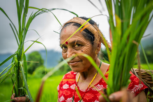 Nepal
