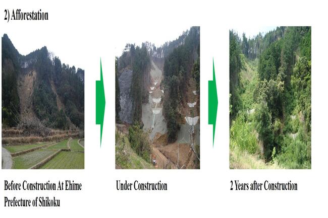 2-Afforestation.jpg